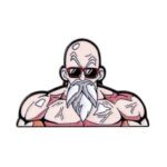 Pin Maestro Roshi